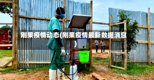 刚果疫情动态(刚果疫情最新数据消息)-第3张图片